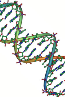 DNA double helix